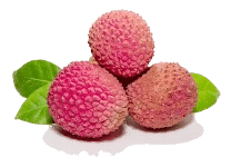Lychee