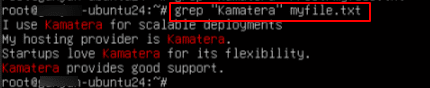 How to Use the grep Command in Linux