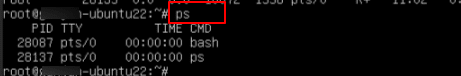 How to kill a process in Linux