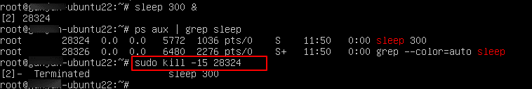 How to kill a process in Linux