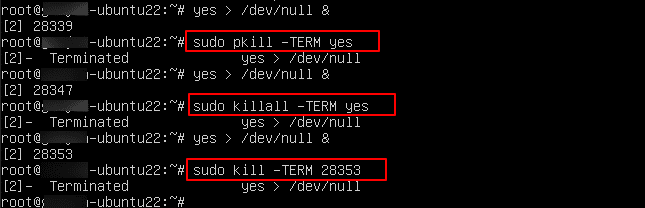 How to kill a process in Linux