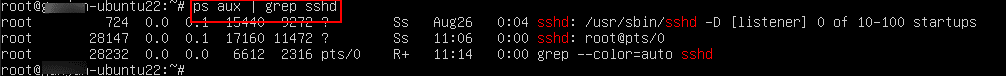 How to kill a process in Linux