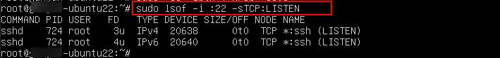 How to kill a process in Linux