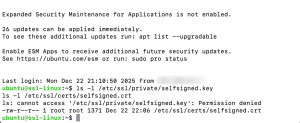 How to Install and Renew SSL Certificates on a Linux Server | Kamatera