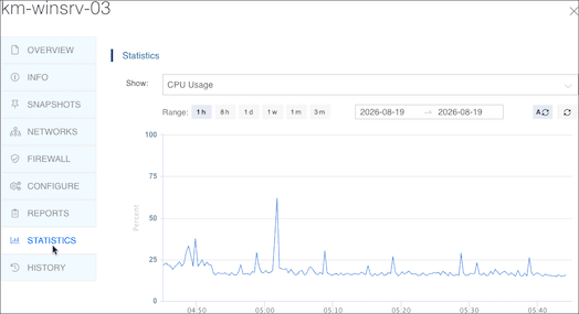 How to Troubleshoot High Memory Usage on a Windows Server