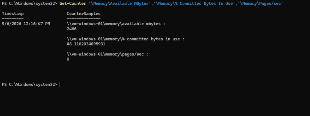 How to Troubleshoot High Memory Usage on a Windows Server